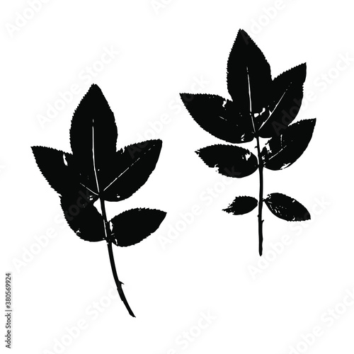 Imprints of natural bush leaves. Set of silhouettes of leaves for design, decoration, print, postcard, pattern. Botanical vector illustration.
