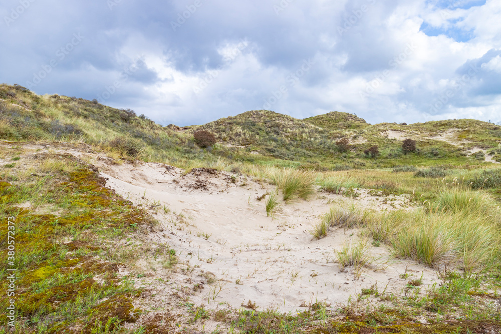 Landscape with dunes under a clouded sky, national park Meijendel