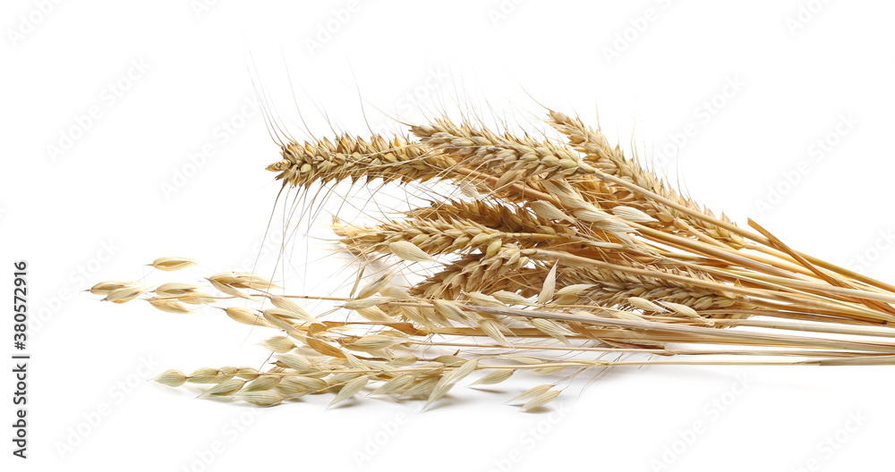 Wheat and oat ears with groats pile isolated on white background Wheat and oat ears with groats pile isolated on white background