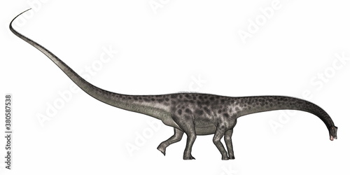 Diplodocus dinosaur walking isolated in white background - 3D render