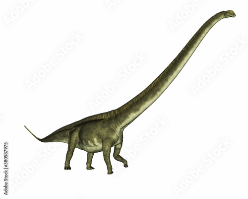 Mamenchisaurus dinosaur walking isolated in white background - 3D render © Elenarts