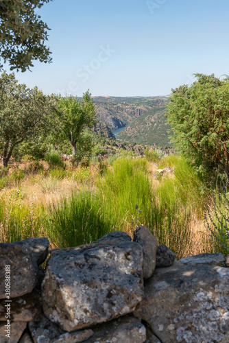 Lands overlooking rivern canyon photo