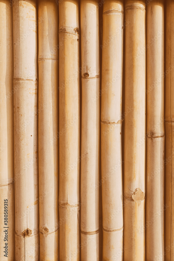 Bamboo Natural Background Bamboo Natural Background