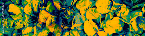 Blue Plant Print. Dark Garden Banner. Yellow