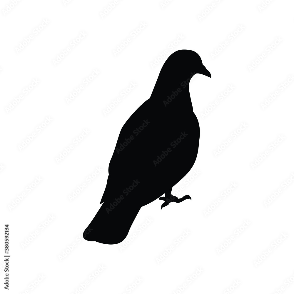 Obraz premium Pigeon silhouette vector