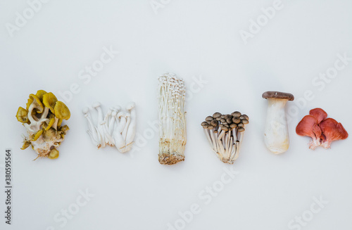 Shimeji, Oyster Enoki and Girolle mushrooms in a row photo