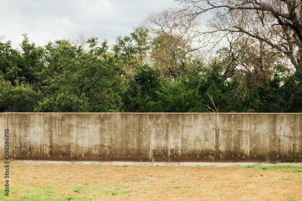 Empty Outdoor Lawn Opposite, Wild Preserve