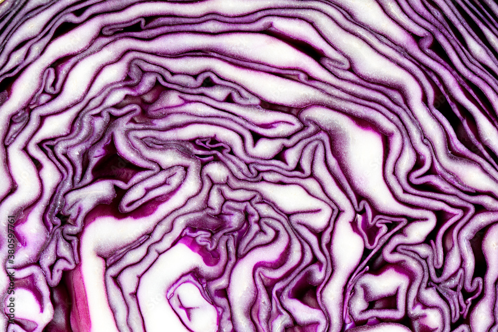 Red cabbage close-up Red cabbage close-up