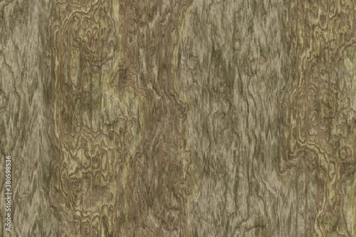 Texture of wood background
