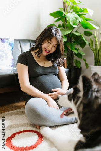 Pregnant young woman with her Alaskan malamute