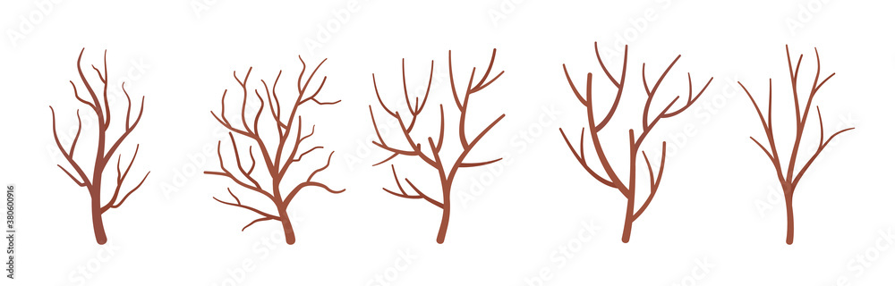 Dry tree branches set, natural dried floral project decorative sticks. Organic atmosphere, old decor for room, office decoration, party botanical ornament. Vector flat style cartoon illustration Dry tree branches set, natural dried floral project decorative sticks. Organic atmosphere, old decor for room, office decoration, party botanical ornament. Vector flat style cartoon illustration