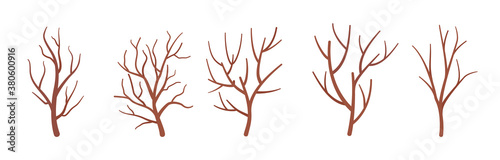 Dry tree branches set, natural dried floral project decorative sticks. Organic atmosphere, old decor for room, office decoration, party botanical ornament. Vector flat style cartoon illustration
