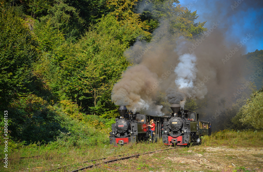 Mocanita Steam Train in the Vaser Valley, Romania Stock Photo | Adobe Stock