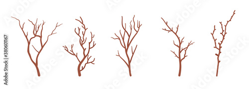 Dry tree brown branches set, natural dried decorative sticks. Organic atmosphere, old floral home decor, eco office decoration, party holiday botanical ornament. Vector flat style cartoon illustration