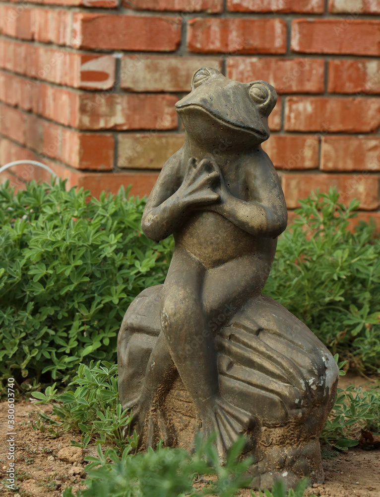 Stone frog in the garden
