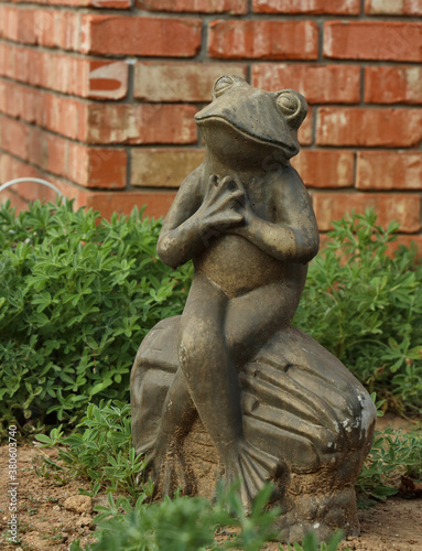 Stone frog in the garden
