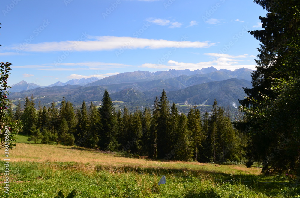 Panorama Tatr, widok z kotelnicy w Zakopanem w pogodny letni dzień