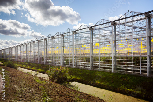 Bilde på lerret Greenhouse exterior under a sky with nice clouds in Westland in the Netherlands