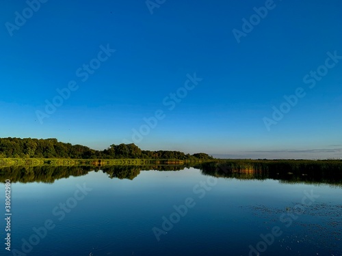reflection of trees in water