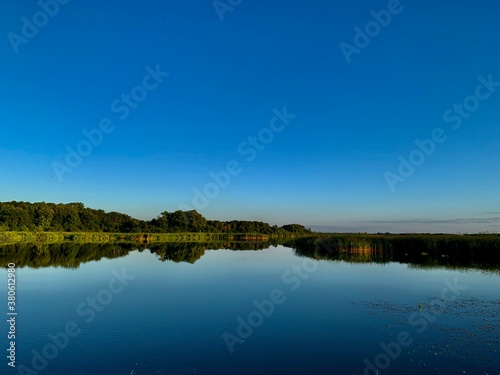 reflection of trees in water