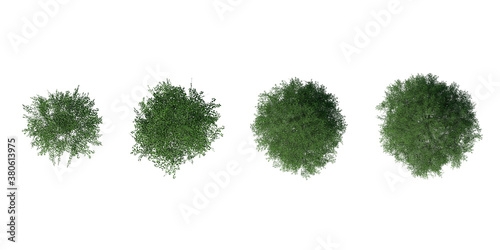 Collection Top view of 3D Green trees isolated on white background