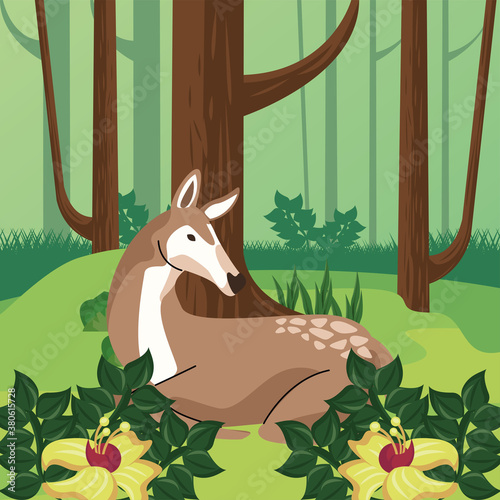 wild fawn animal in the forest scene