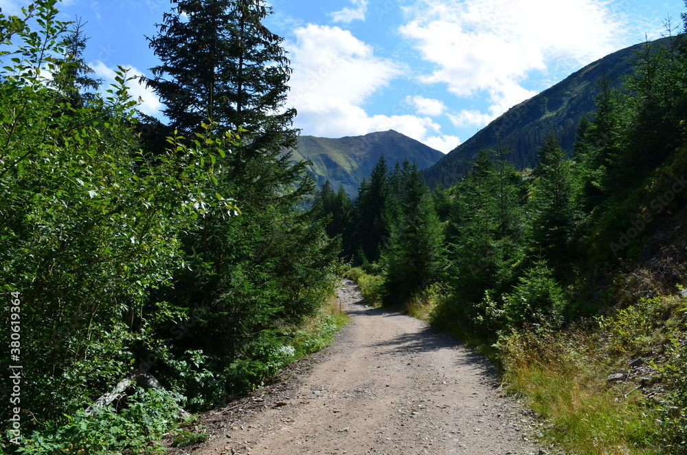 Tatry Zachodnie, szlak przez Dolinę Jarząbka, dolny odcinek szlaku na Trzydniowański Wierch
