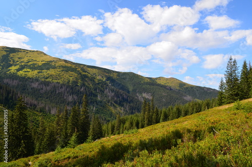 Tatry Zachodnie, szlak przez Dolinę Jarząbka, dolny odcinek szlaku na Trzydniowański Wierch