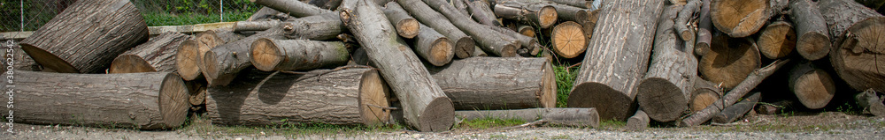Wide horizontal image of chopped wood. Banner for article about environmental issues. Pile of big tree logs and stumps on top of each other. Wide horizontal image of chopped wood. Banner for article about environmental issues. Pile of big tree logs and stumps on top of each other.