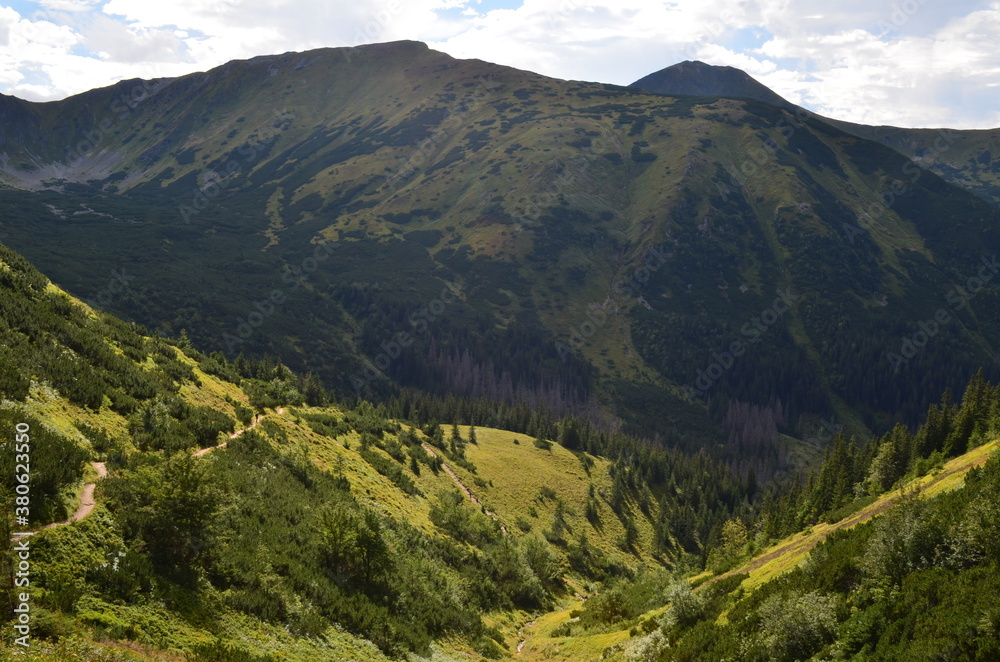 Tatry Zachodnie, szczyty, szlaki graniowe, latem, widok z Doliny Jarząbka, Polska