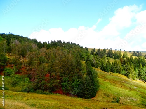 Europe, France, Great East, field of Markstein, hostel Le Steinlebach