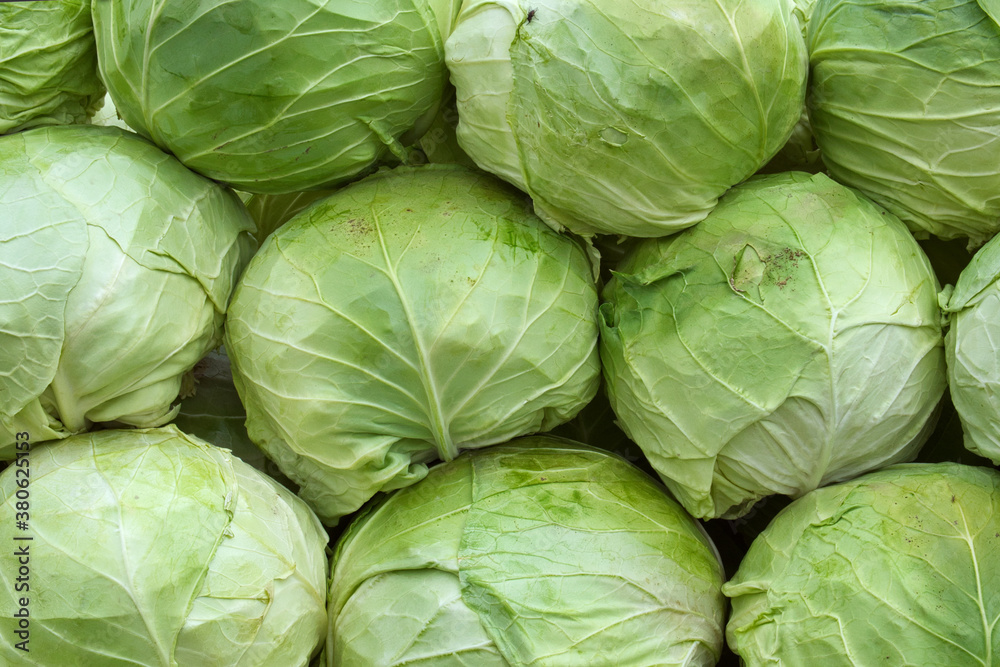 A beautiful natural pattern - variety of fresh leafy green cabbage on the stall of farmers' market in Serbia A beautiful natural pattern - variety of fresh leafy green cabbage on the stall of farmers' market in Serbia