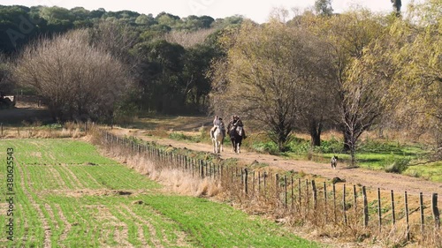 people riding hourses in acoutry side photo