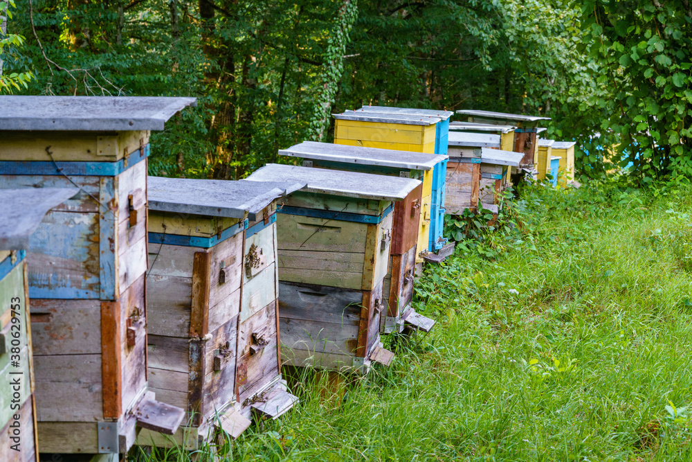 Close-up image of wooden Beehives in village garden.