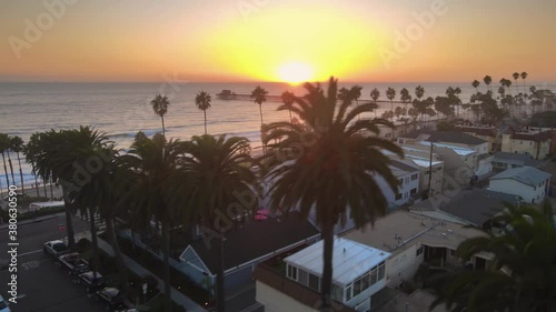 Aerial shot panning up and over palm trees in Oceanside California photo