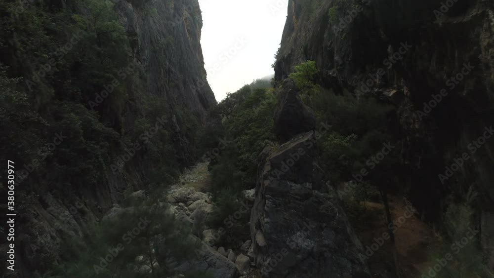 Aerial drone flying low and backwards inside a huge gorge close to trees and giant rocks in thick Australian bush land on a foggy winter morning in the Bungonia National Park NSW Australia. Aerial drone flying low and backwards inside a huge gorge close to trees and giant rocks in thick Australian bush land on a foggy winter morning in the Bungonia National Park NSW Australia.