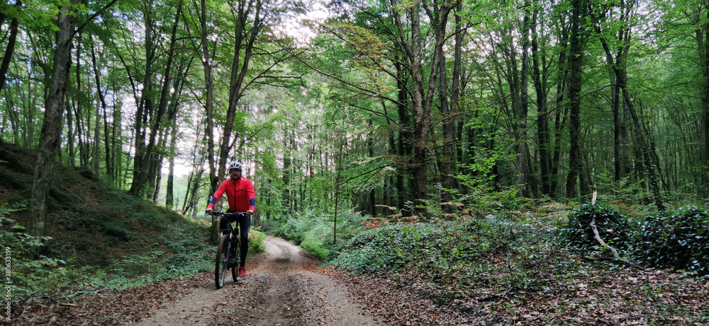Obraz premium man biking in the forest
