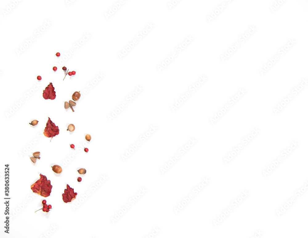 Autumn composition,autumn leaves,acorn,berries on white background. Top view, copy space