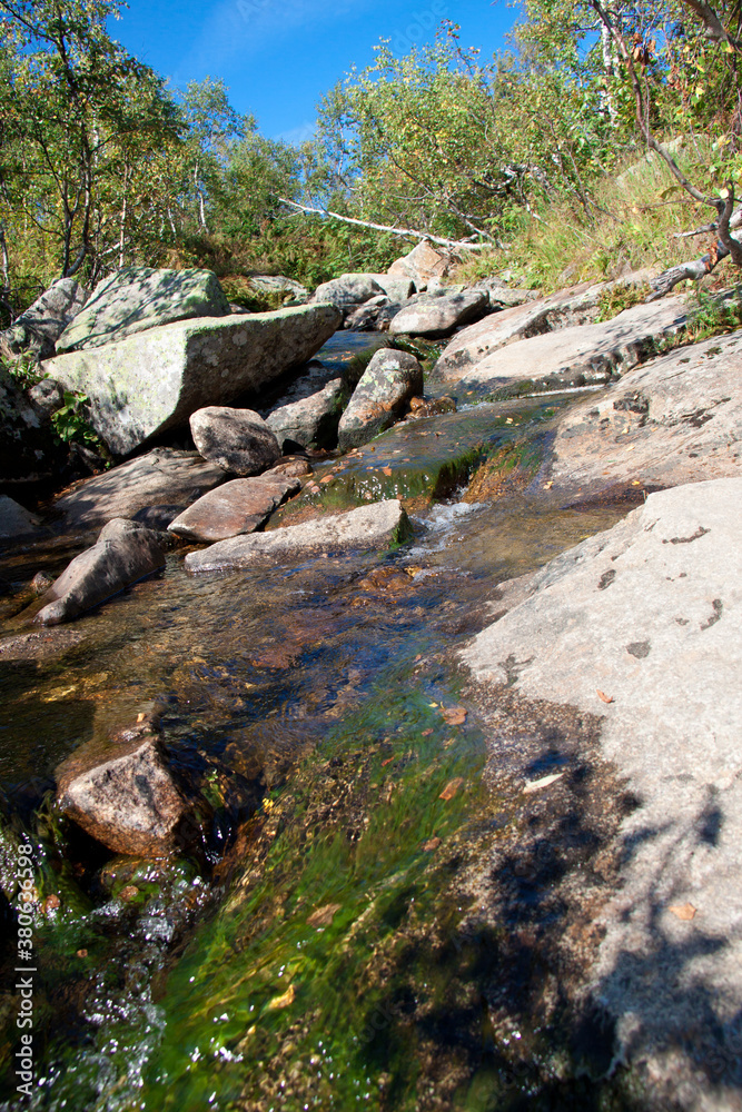 Mountains and Rocks in Siberian area Sheregesh (Russia) covered with coniferous forest on a summer sunny day