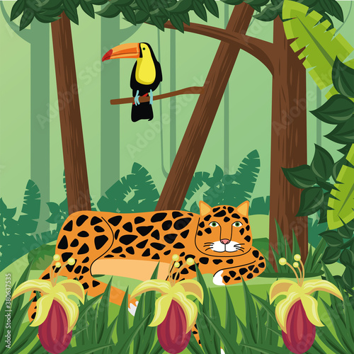 wild toucan exotic bird and leopard