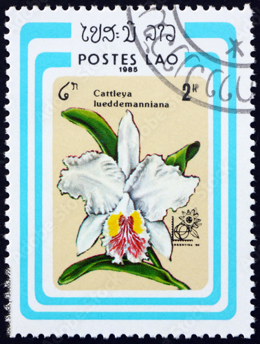 Postage stamp Laos 1985 cattleya lueddemanniana, orchid photo