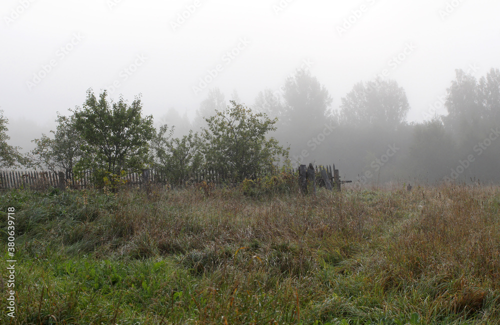 Forest and field with morning fog in the countryside Forest and field with morning fog in the countryside