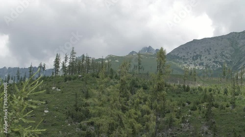 Panorama of mountains emerging from the forest. photo