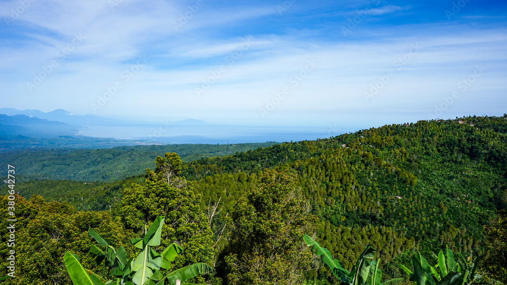 Obraz premium landscape with trees and mountains