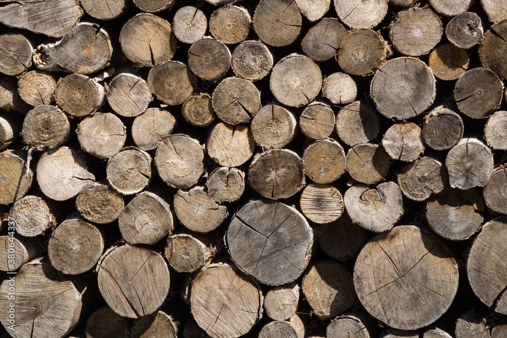 A background of round tree trunks in the foreground. A background of round tree trunks in the foreground.