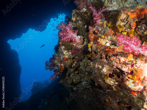 The opening of underwater cave covered with corals (Mergui archipelago, Myanmar)