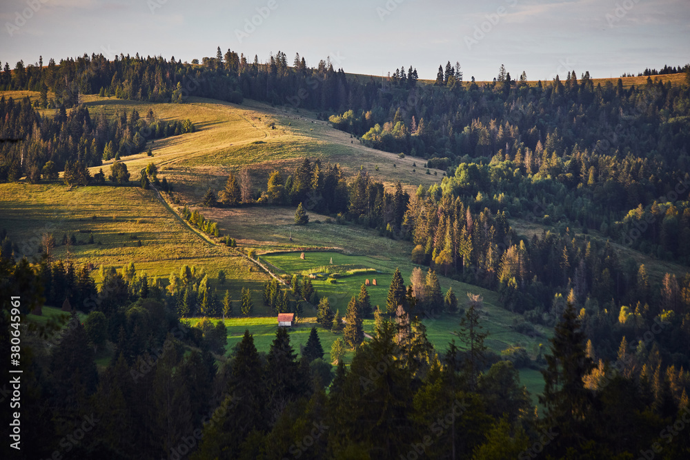 Fototapeta premium Carpathian landscape of the mountains and forest on sunset, Lviv region of Western Ukraine