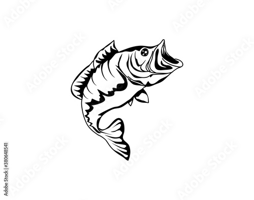 Fototapeta Naklejka Na Ścianę i Meble -  bass fish vector with Hand drawn style