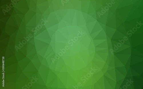 Light Green vector polygonal template. A completely new color illustration in a vague style. Polygonal design for your web site.