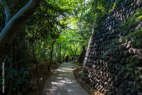 調布市 木漏れ日が差す深大寺の参道 photo